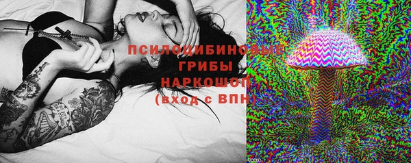 меф Бородино