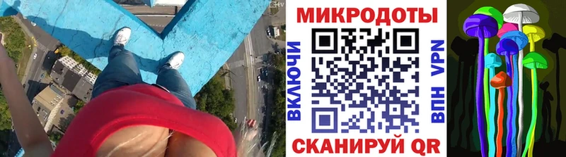Галлюциногенные грибы мицелий гидра как зайти Киренск